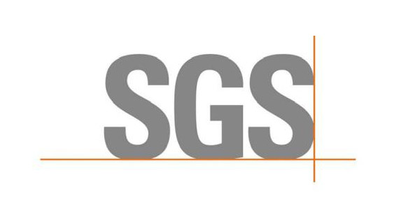SGS Test Report(Hoisin Sauce)