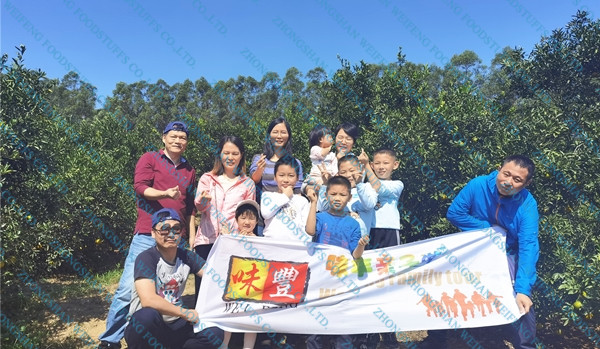Weifeng Tangerine-picking activity 2021